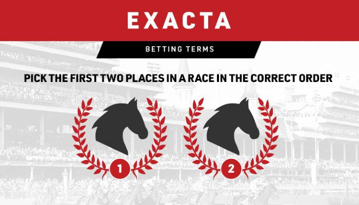 Gambling News 10 What Is an Exacta Bet
