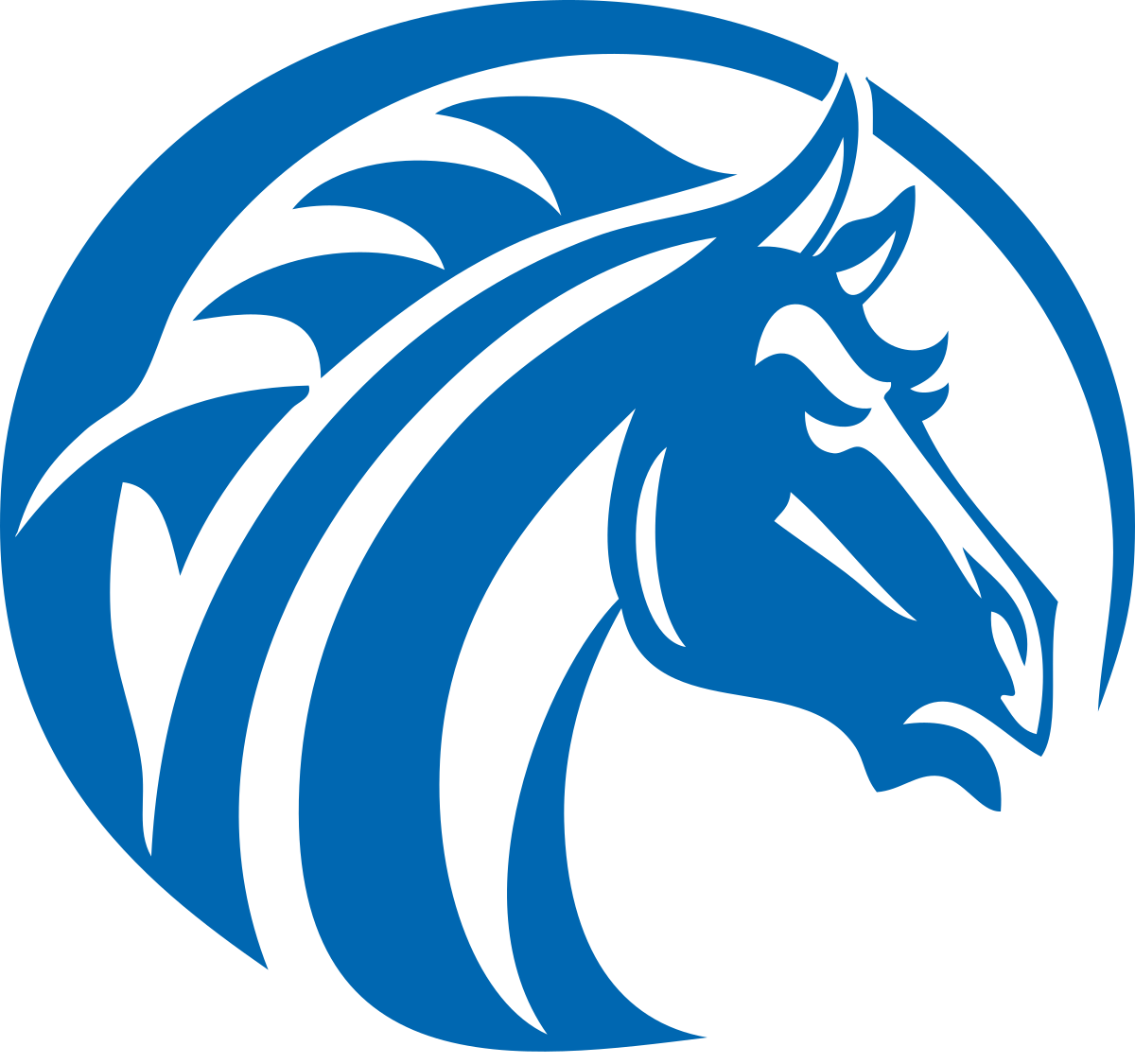 Fayetteville St. Broncos