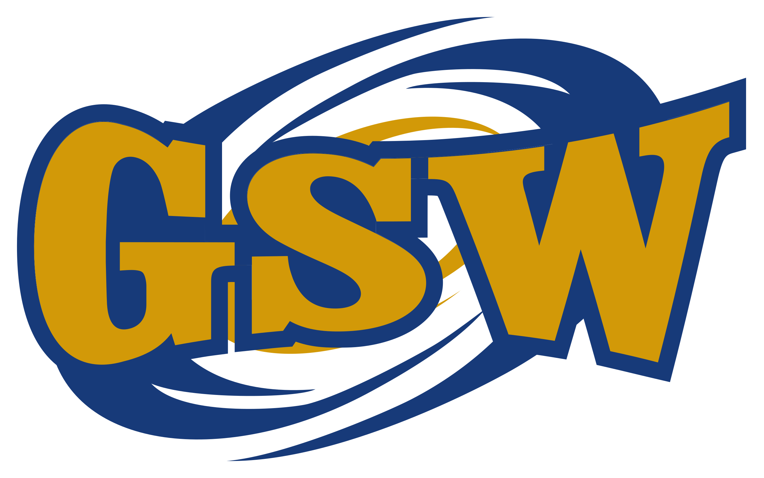 Georgia Southwestern State