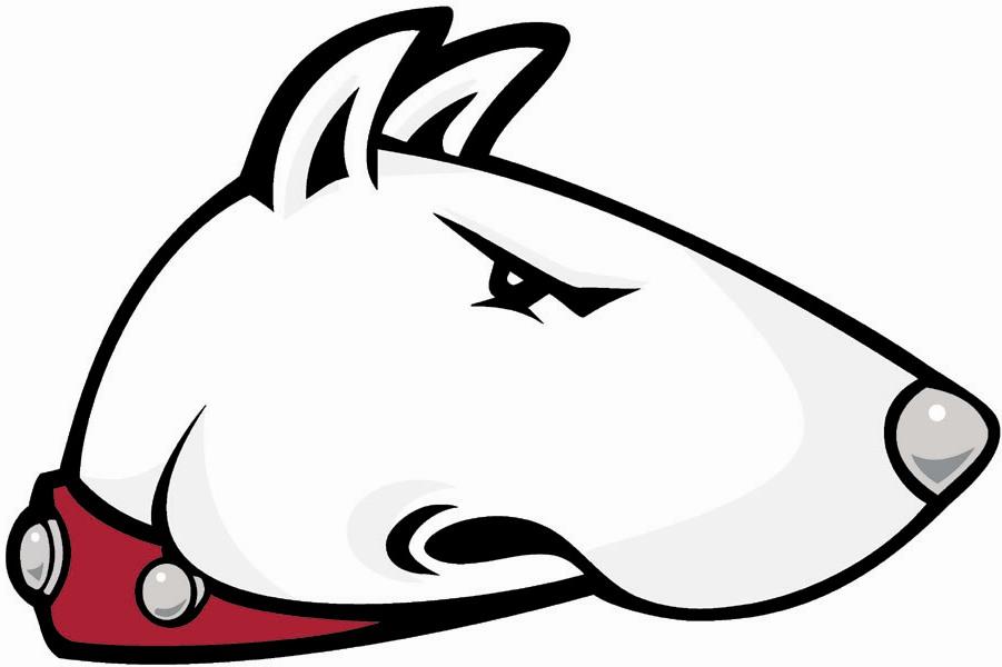 Hiram College Terriers