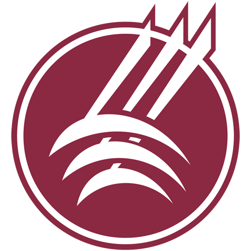 Montana St Northern Lights