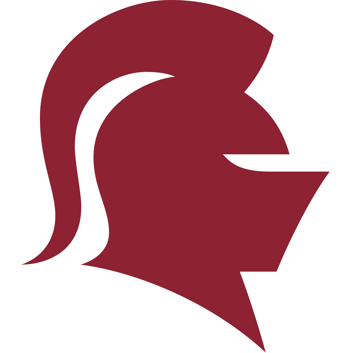 Southern Virginia Knights