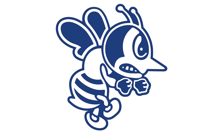 St Ambrose Fighting Bees