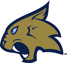 Thiel College Tomcats
