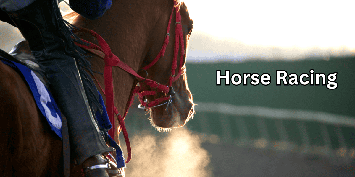 Belmont stakes betting