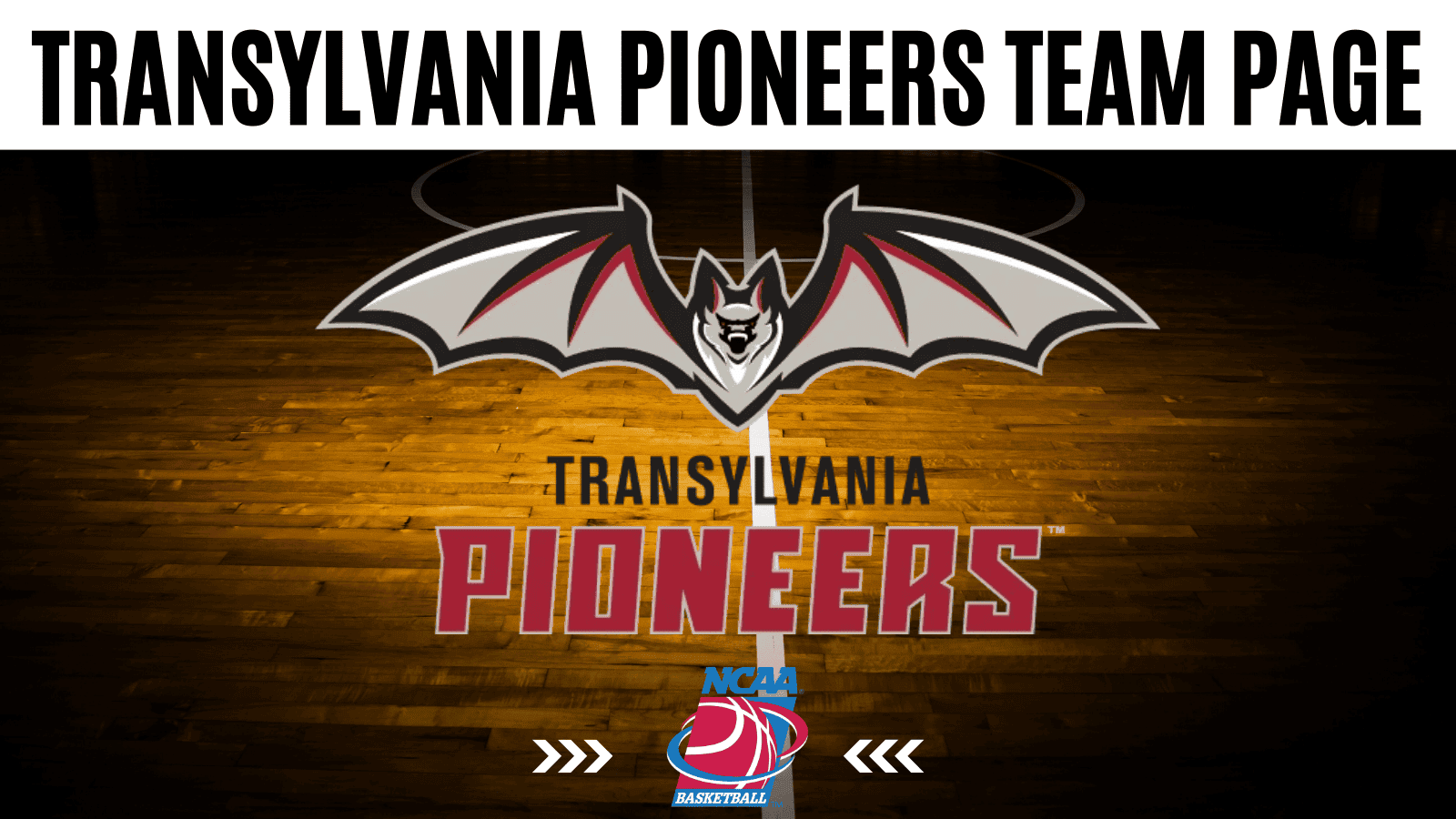 Transylvania Pioneers stats, schedule, and betting odds overview.
