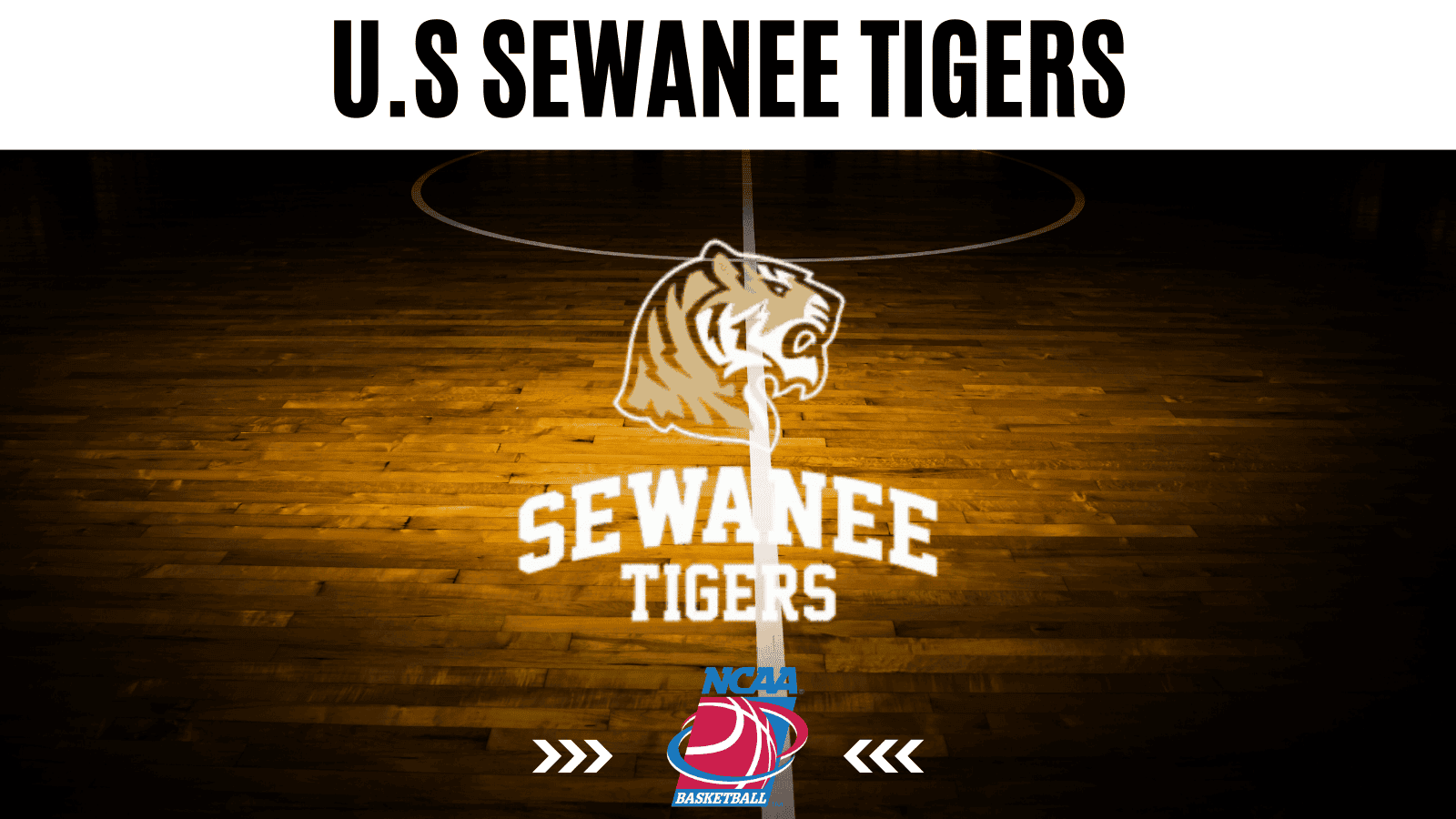 University of the South Sewanee Tigers stats, schedule, and betting odds overview.