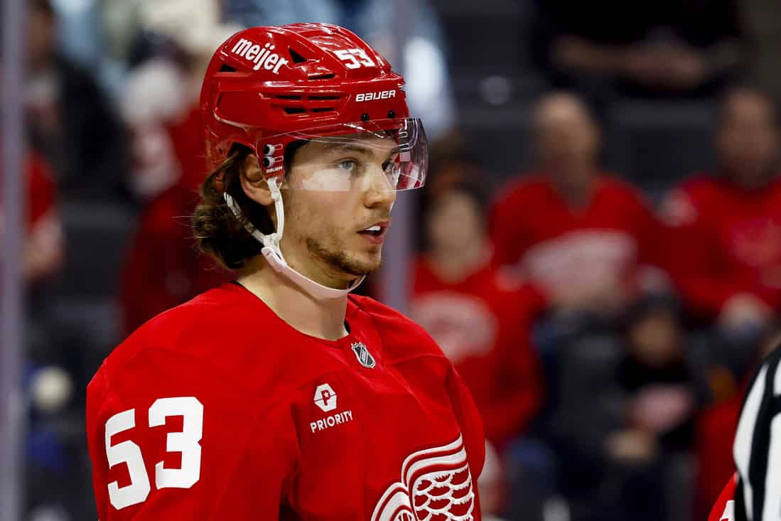 NHL 2 Redwings player