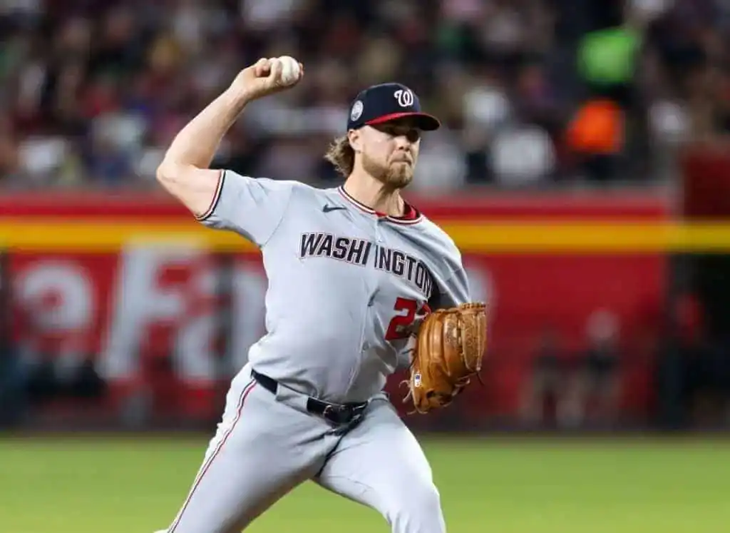 3 A pitcher in a grey Washington Nationals uniform prepares to throw a baseball on a vibrant baseball field filled with spectators.