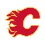 Calgary Flames Game Odds